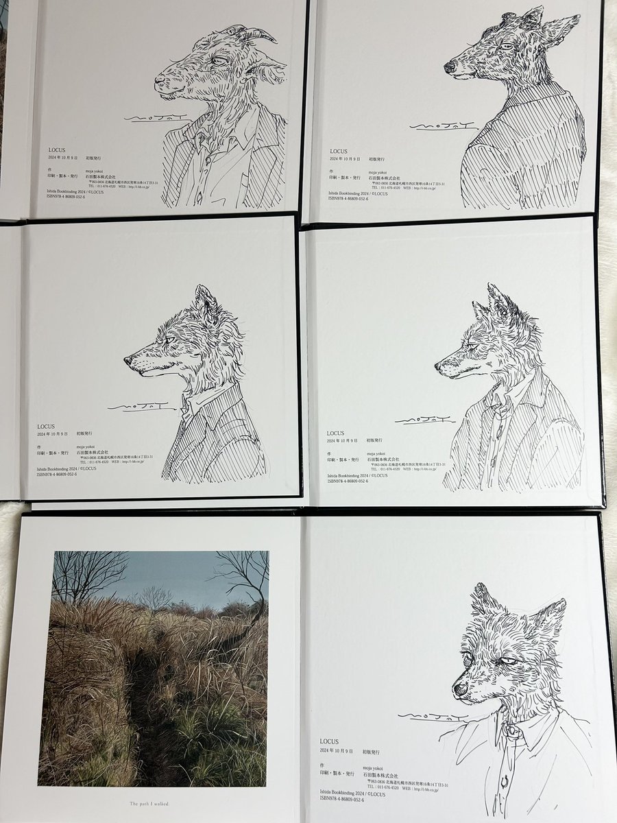 画集ですが、持てる荷物の限界で5冊のみです🙇 