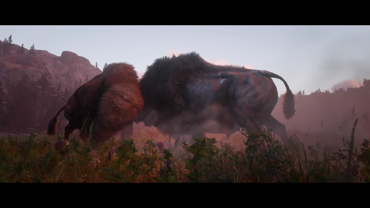 mopshrudel's tweet image. #SaveRedDeadOnline #RedDeadRedemption2 #RedDead #rdr2 #RedDeadPhotos