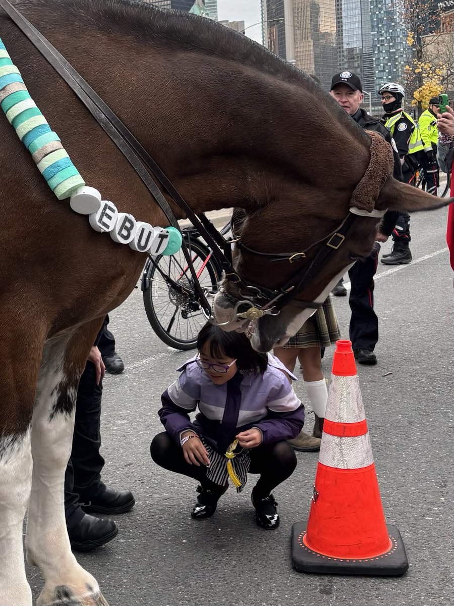 Toronto Police Mounted Unit tweet media