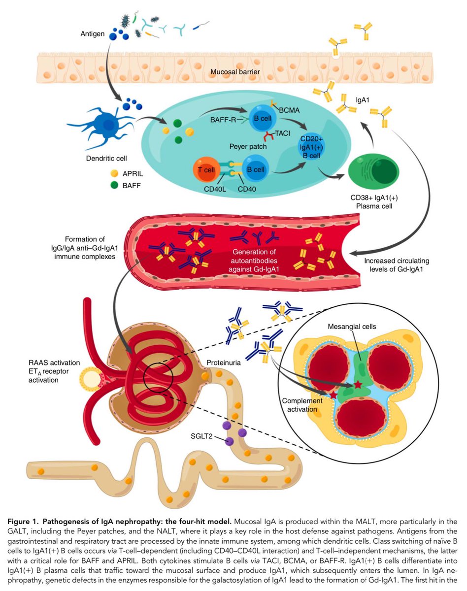 Edgar V. Lerma 🇵🇭 tweet media