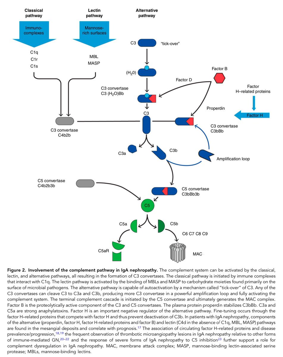 Edgar V. Lerma 🇵🇭 tweet media