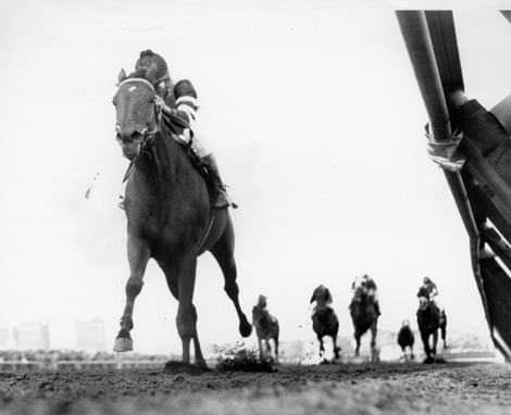 HORSERACING1002's tweet photo. ROMAN BROTHER🇺🇸1961
(THIRD BROTHER - ROMAN ZEPHYR BY ROMAN)
#RomanBrother
B/ Ocala Stud Farms (Fl) May 27, 1961, Gelding.
O/ Harbor View Farm
T/ Burley Parke
OBSMAR $23,500
42-16-10-5---$943,473
1965 Champion 🏆 older Horse & Horse of the Year🇺🇸
Champagne S, Bahamas S, New Hampshire Sweepstakes, Discovery H, Everglades H, American Derby, Jersey Derby, Woodward S, Manhattan H, Jockey Club Gold Cup
2nd Lawrence Realization H, Jockey Club Gold Cup, Derby Trial, Chicagoan H, Belmont S, Brooklyn H, Michigan 1⅛ mile H.
3rd Dwyer H, Wood Memorial S, Washington D.C International, Aqueduct S.
NTR Rockingham Park 1³/¹⁶ miles 1,55,80
Died March 8, 1991
