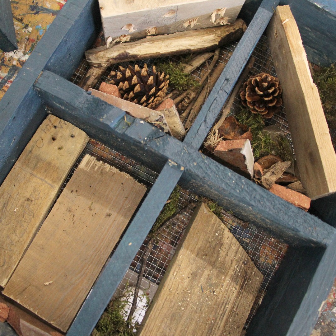 Sherborne Prep tweet media