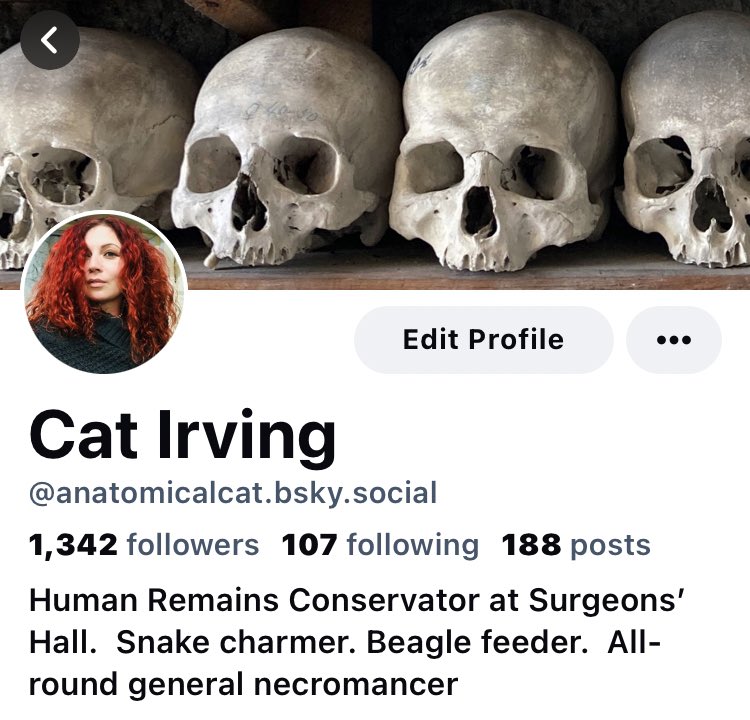 Cat Irving tweet media