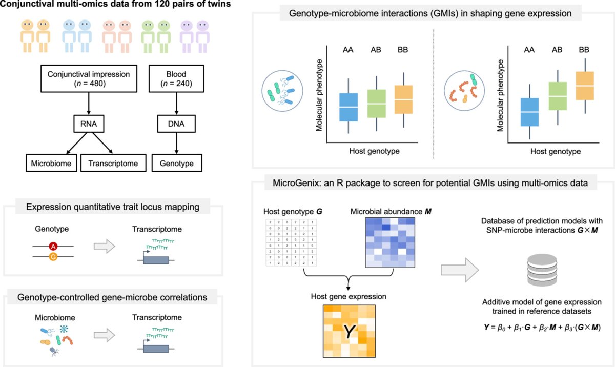 #Multiomics integration unravels #genotype‐#microbiome interactions shaping the conjunctival transcriptome #iMetaOmics onlinelibrary.wiley.com/doi/10.1002/im…
#bioinformatics #DataScience #MachineLearning 
<a href="/wileymicrobio/">Wiley Microbiology</a> <a href="/WileyBiomedical/">Wiley Biomedical Science</a> <a href="/WileyHealth/">Wiley Clinical Health</a>