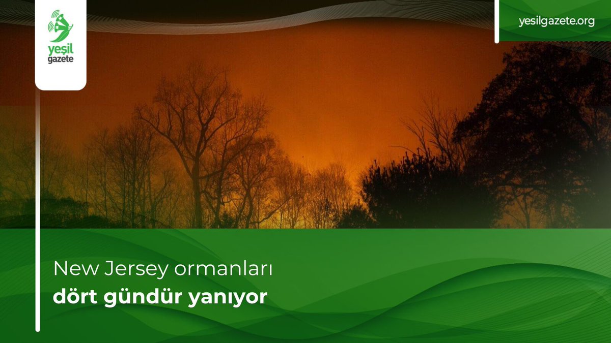 ABD‘nin New Jersey ve New York sınırlarında cumartesi günü başlayan orman yangını, beş bin dönümlük bir alana yayılarak devam ediyor.

West Milford ile Sterling Forest Eyalet Parkı arasında başlayan yangını kontrol altına almak için çalışmalar gece gündüz sürüyor ancak yangın