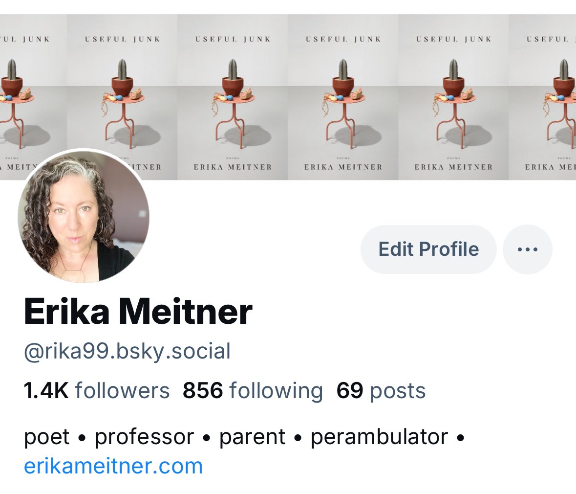 erika meitner tweet media