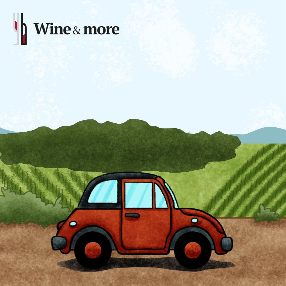 Explore Croatia’s Slavonia Wine Region, where rolling hills and ancient soils produce bold reds and delicate whites that embody passion and tradition. 
#wineandmore #winelovers #croatianwine #slavonianwines #enosophiawinery #enosophiawine

Check it out: tinyurl.com/29a4hz36