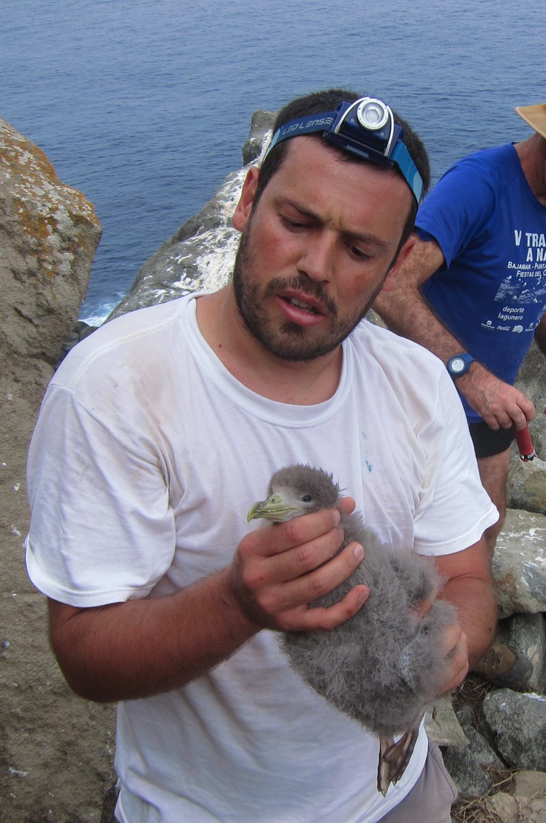 Animal Conservation tweet media