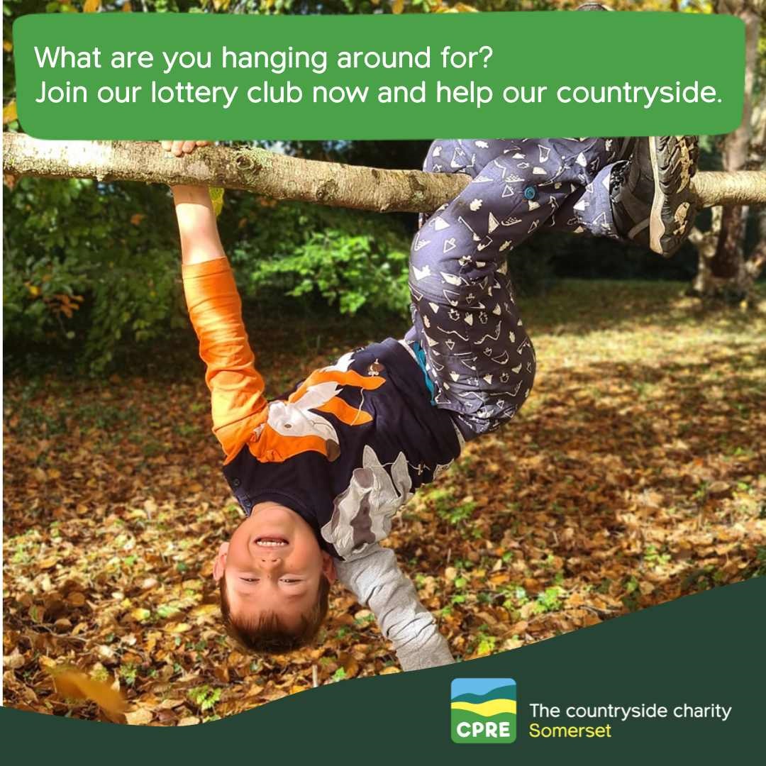 Tina in Frome has just won our monthly lottery draw.  Get your tickets here for next time! 👇
tinyurl.com/v4unsjew

Every ticket helps us with our work for the Somerset countryside. Thank you 💚 

Photo By Sally Lewis