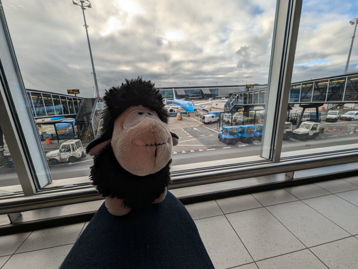 Loïc Magnette (@lomagnette) on Twitter photo Off to Venice for #DevFestVenezia, organized by the <a href="/gdgvenezia/">GDG Venezia</a>! ✈️ My trusty little black sheep plushie 🐑 is tagging along for the adventure. Looking forward to meeting everyone and having a great time at the event. See you there! 🛫✨ Off to Venice for #DevFestVenezia, organized by the <a href="/gdgvenezia/">GDG Venezia</a>! ✈️ My trusty little black sheep plushie 🐑 is tagging along for the adventure. Looking forward to meeting everyone and having a great time at the event. See you there! 🛫✨