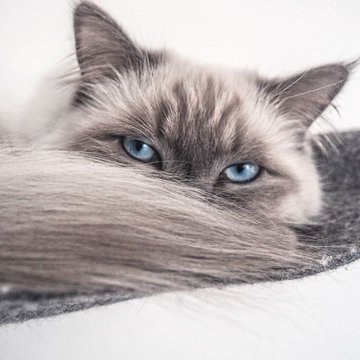 giuseppina solinas (@giusylu7) on Twitter photo 