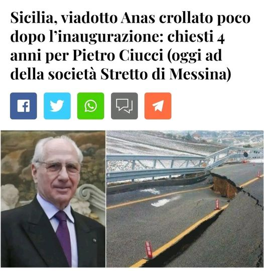 È l'amministratore delegato della società Stretto di Messina.