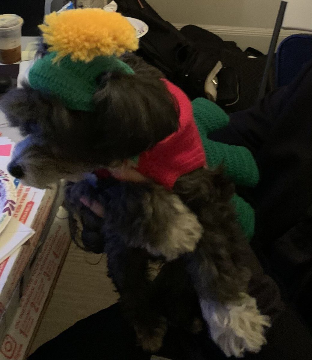 a little dog called Marvin the Martian, Will be the inaugural inhabitant of Mars?