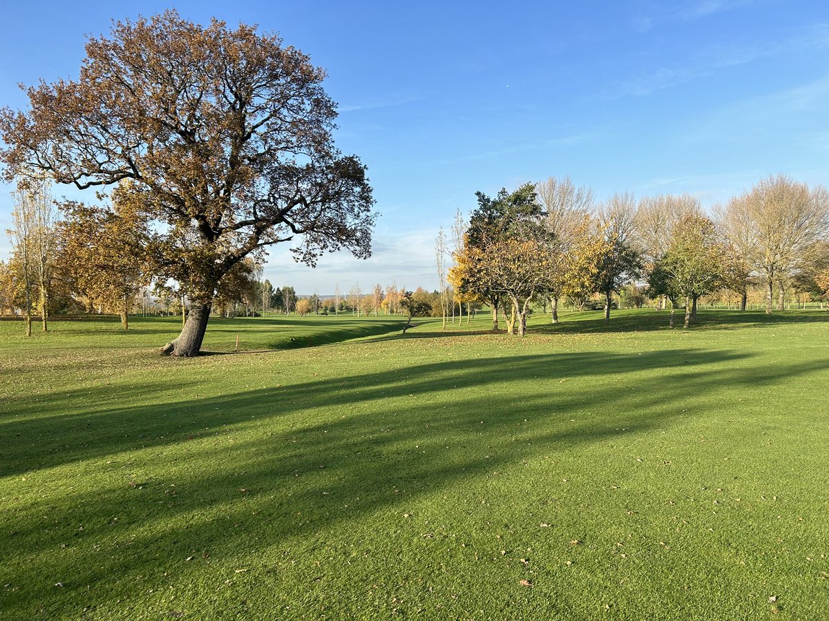 Can anyone believe this is mid November 🤔 
Book your round today , tee times available! 🏌️‍♂️