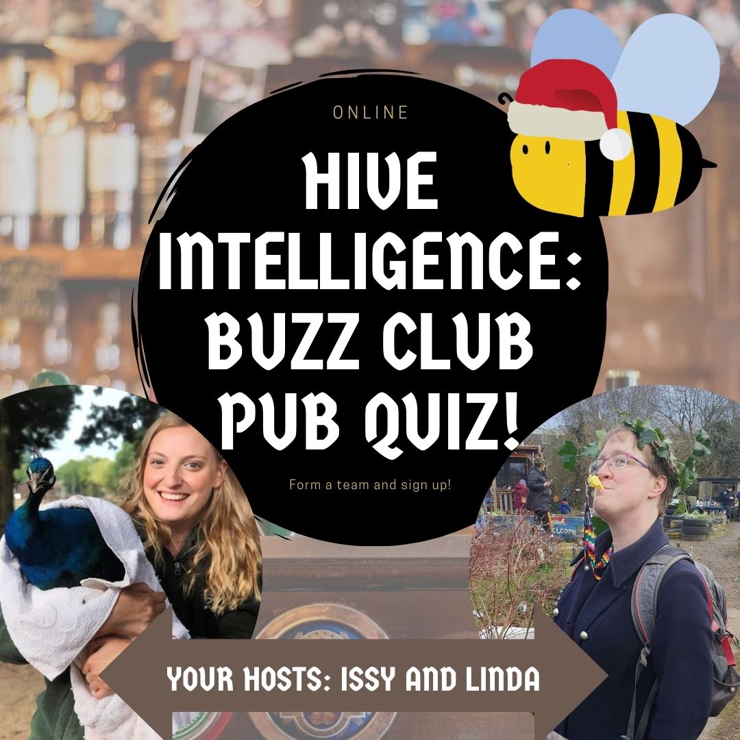The Buzz Club (@The_Buzz_Club) / Posts / X