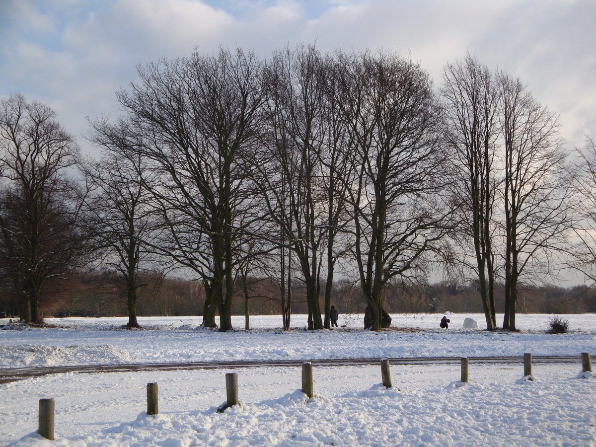 Wimbledon Winterfest : A day of festive family fun Saturday 23rd November, 11am-6pm on The  Piazza and Queen's Road SW19, in partnership with Wimbledon Quarter <a href="/lovewimbledon/">lovewimbledon</a> And a chance to take some Winter photos for our competition details at wimbledonsociety.org.uk/wimbledon-acro…