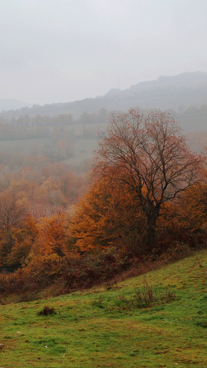 picklerickardo's tweet photo. 🍂🍁📷
#canon #eosm50 #m50 #photography #photooftheday #autmn #aesthetic https://t.co/VAURNZ9wkC