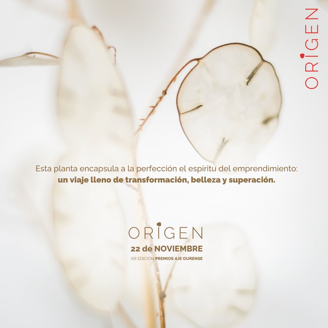 Este año, nuestra gala de los XIII Premios
#AJEOurense se inspira en la Lunaria Annua, una
planta que encapsula el espíritu del emprendimiento.

✨ El 22 de noviembre, te esperamos para descubrir juntos el poder del #Origen! 🌟

#PremiosAJE #Emprendimiento #JóvenesEmpresarios