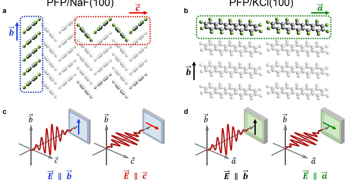SFB 1372 (@sfb_1372) on Twitter photo Congrats to the joint publication of our projects Sig01 <a href="/Lienau63/">Christoph Lienau</a> and Sig02 together with <a href="/est_uol/">EST Group Uni Oldenburg - Prof. Caterina Cocchi</a> and others in the Journal of Physical Chemistry Letters: pubs.acs.org/doi/10.1021/ac… Congrats to the joint publication of our projects Sig01 <a href="/Lienau63/">Christoph Lienau</a> and Sig02 together with <a href="/est_uol/">EST Group Uni Oldenburg - Prof. Caterina Cocchi</a> and others in the Journal of Physical Chemistry Letters: pubs.acs.org/doi/10.1021/ac…