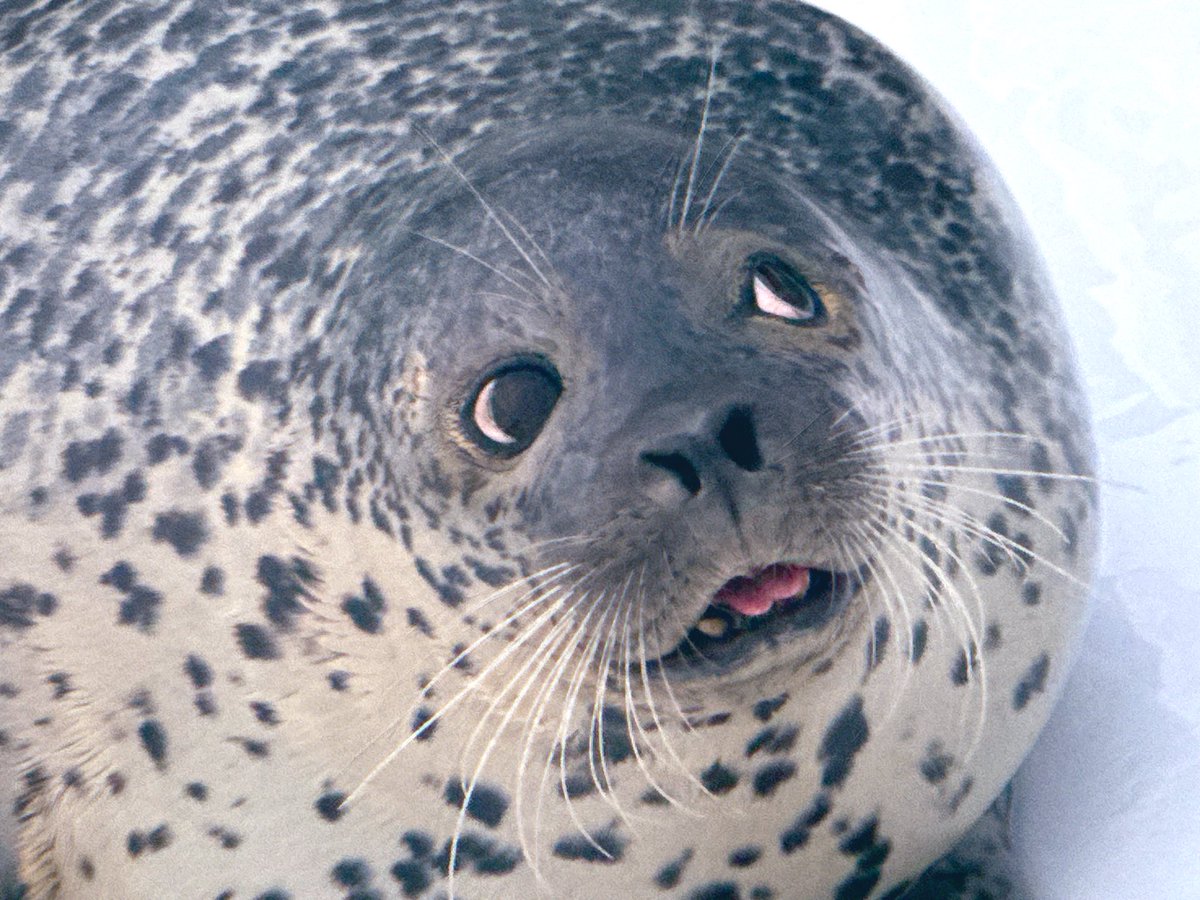 I feel so silly!!!!                              What was that