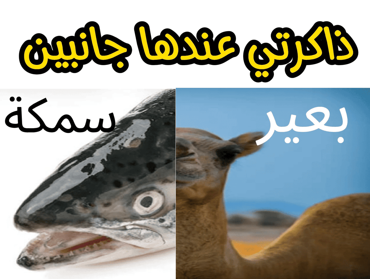 asbelitsme's tweet photo. https://t.co/bQt5Ol9p4D
