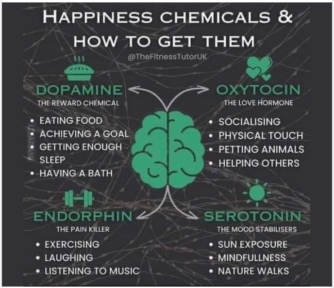 dlhampton's tweet photo. How To Easily Boost Each Happy Chemical In Your Brain https://t.co/coqkuQ1lqr
You can keep the happy neurochemicals flowing in your brain with simple daily habits. Here's how to boost each one.
#happy #brain #nchemicals #boost #mentalhealth #mood #Fridayfeeling #Fridayvibes https://t.co/YgawqufdOO