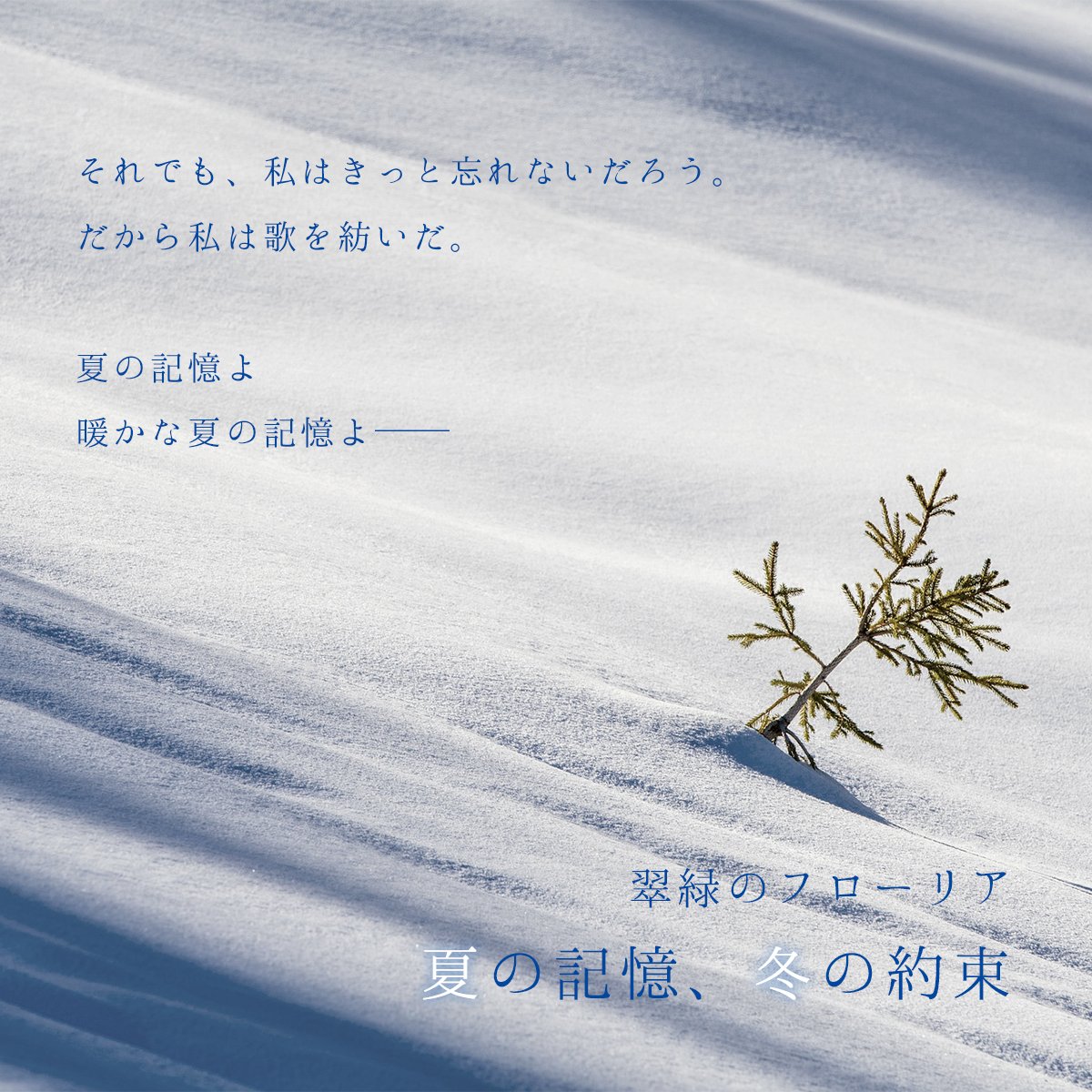 phantasm_space's tweet photo. また、魔法の森に新しい息吹をもたらす以下のシナリオ2本も収録しています🌱

・これがホントの紅葉狩り🍁
・夏の記憶、冬の約束❄️

雰囲気の異なる2つのシナリオをぜひお楽しみください！
#翠緑のフローリア
(7/9) https://t.co/rwUviBOQix