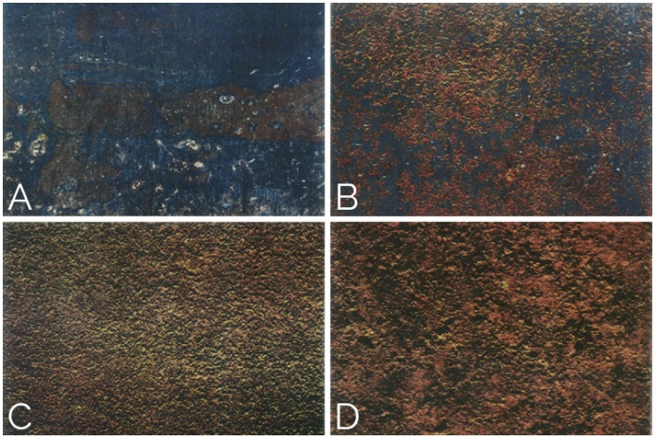 LaserAlfa's tweet image. Want to know your rust grade quickly and accurately? Look no further! Let's get started together. 🔍 #FastDetection #MetalProtection
alfalaser.ca/post/rust-grad…