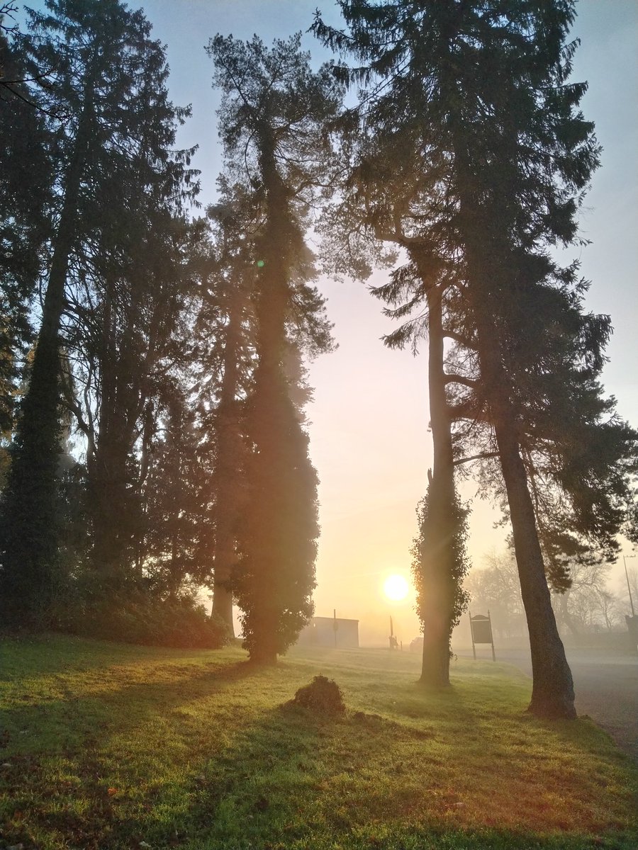 AilinKee's tweet image. Beautiful misty start for @eastglambto @WeBS_UK this morning at Cyfarthfa Lake. As the mist cleared, almost at the end of my visit, a Little Grebe appeared. I believe it may be a first WeBs record for the site. #birdsmatter