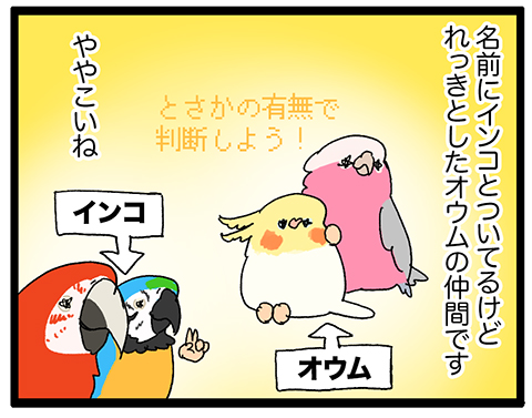【羽やすめ漫画】いいインコの日!
インコしか乗船できない宇宙船に乗り込んで来たのは……?
41 #えるポピの羽休め漫画