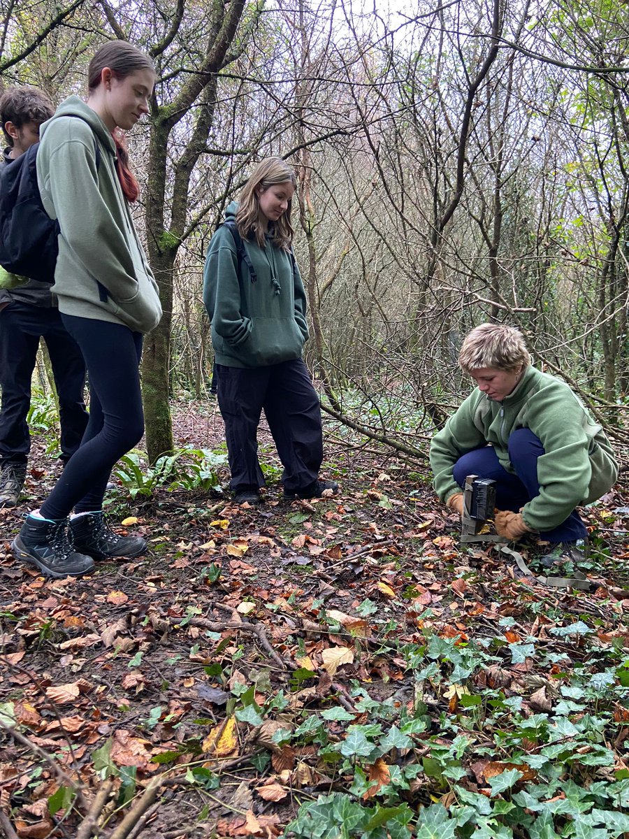 afonydd's tweet photo. Sesiwn trapio camera gwych gyda'n myfyrwyr gwirfoddol ddydd Mercher. Gawn ni weld pa greaduriaid hyfryd sydd o gwmpas yn y coetir.

A great camera trapping session with our student volunteers on Wednesday. Let's see what wonderful creatures are lurking in the woodland. https://t.co/HjeOqgUmeD