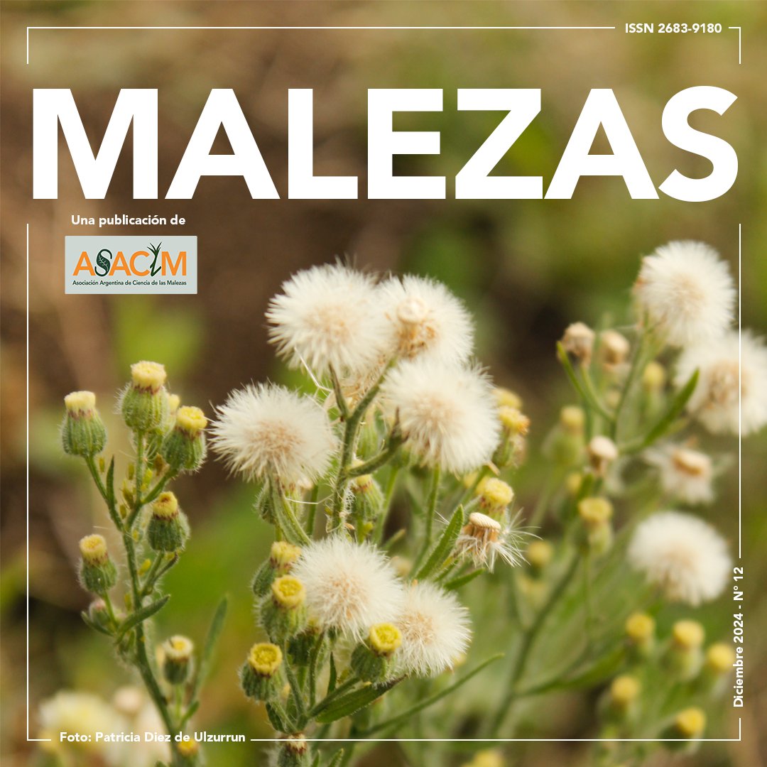 ASACIM_Malezas's tweet photo. Ya salió la edición Número 12 especial Conyza de #MALEZAS la revista de Divulgación Científica de ASACIM.  Podés leer y descargar el PDF en: LINK AQUI. Ya mandaste tu artículo? Te esperamos para la próxima edición! #ASACIM #weedscience #Malezas #Malezasdifíciles #RevistaMalezas https://t.co/dEHYZtd93x