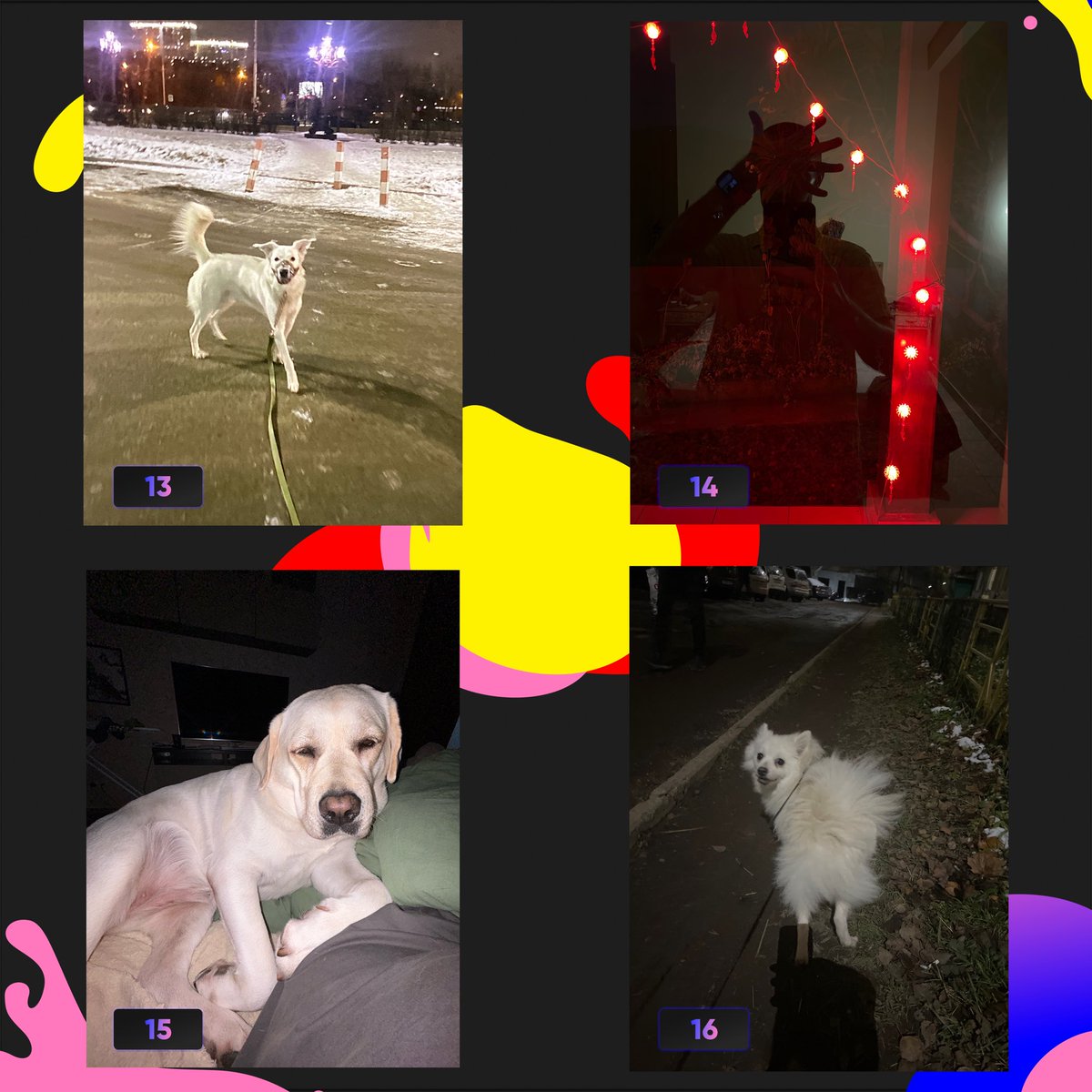 PictographsNFT's tweet photo. 🚀PICTOGRAPHS Voting!✨

📸Today we give you opportunity to vote for the best photo among those taken by our users yesterday! 

📆Voting finish: 00:00 UTC on 17 November (Sunday)

❕You can leave there only 1 comment and vote for 3 photos: 1 in each category!

📍Voting takes place ONLY on our X!

#PICTOGRAPHS #PICTOpics #blockchain