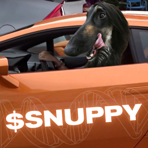 Snuppysol's tweet photo. 1 $SNUPPY = 1 LAMBO https://t.co/V02YIt2YAb