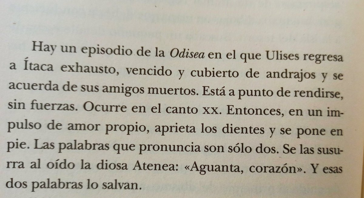 literland tweet media