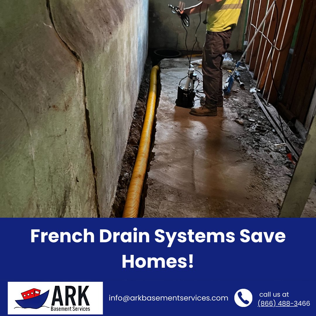 ARK Basement Service tweet media