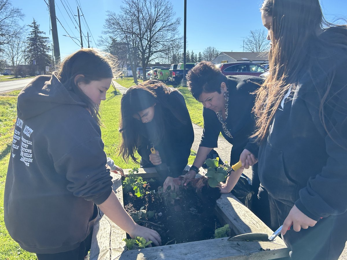 Six Nations Chief tweet media