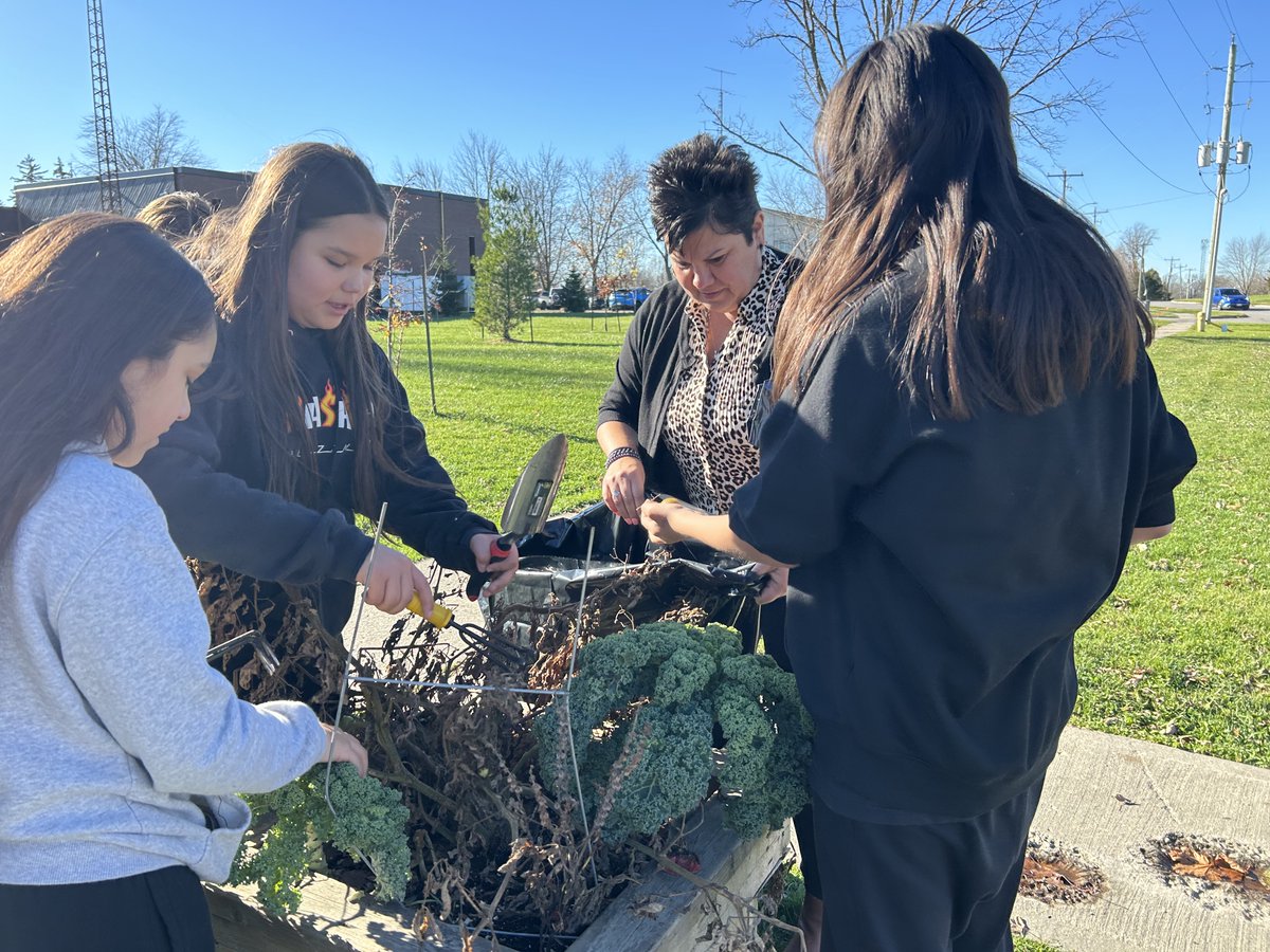 Six Nations Chief tweet media