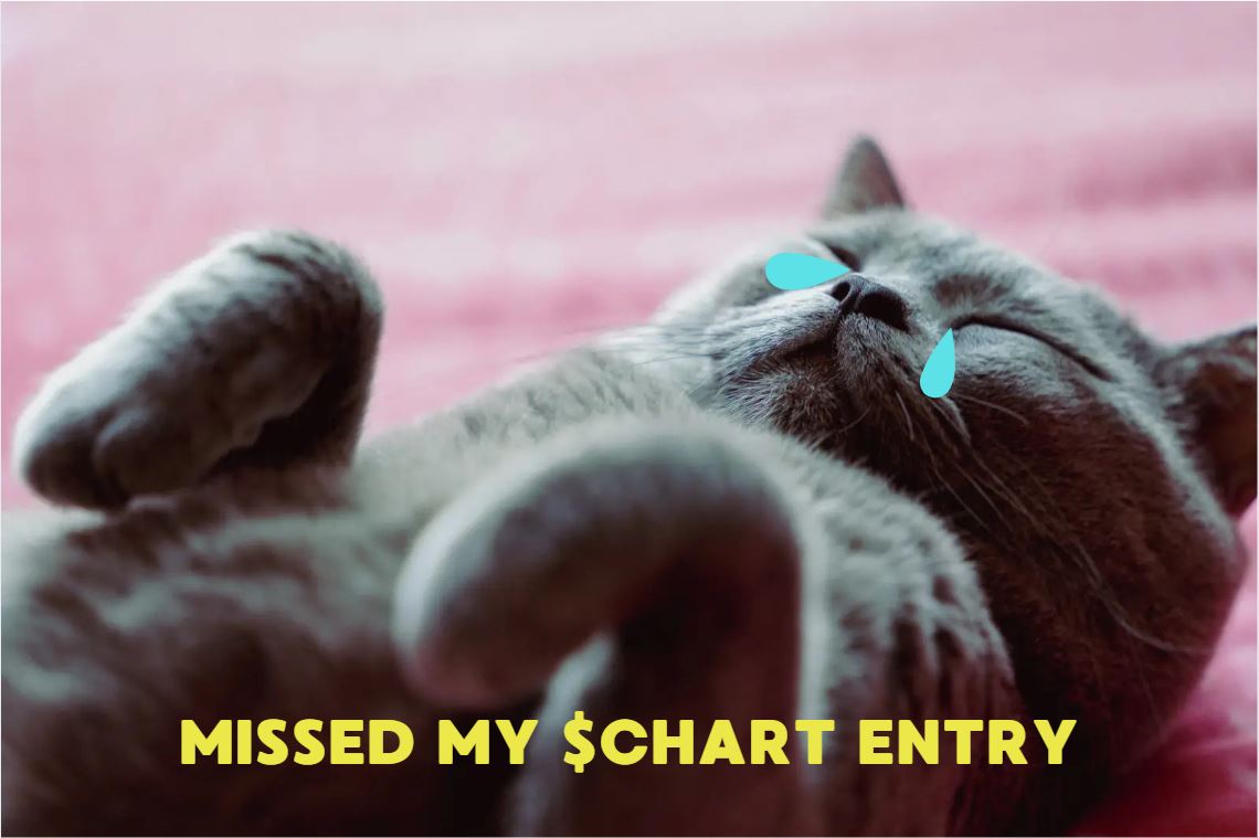 Raindancer tweet media