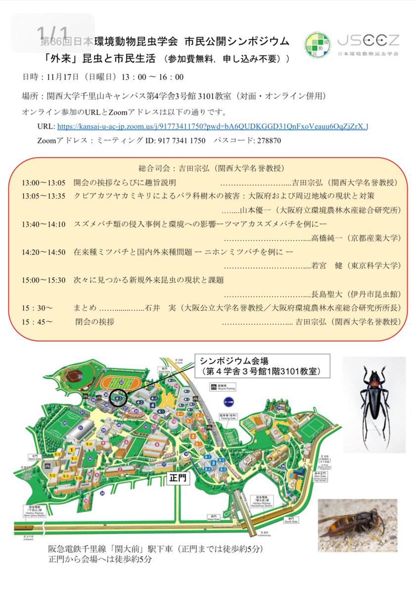 calisius's tweet photo. 明後日はここで外来種についてお話しします。
不足を確認して現状を嘆くのは大事な儀式だ

第36回日本環境動物昆虫学会 シンポジウム
「外来」昆虫と市民生活 （参加費無料，申し込み不要）
11月17日（日）13：00 〜 16：00
関西大学千里山キャン��ス（オンラインあり）

https://t.co/GTwAGxStWS https://t.co/Cj0VfbMRYO