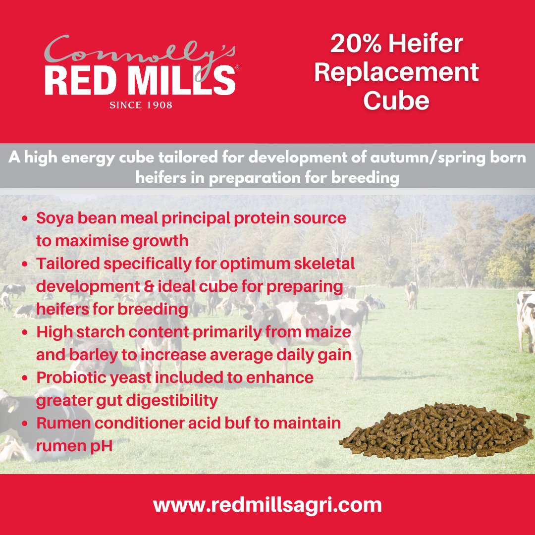 Connolly’s RED MILLS 20% Heifer Replacement Cube is a high energy cube tailored for development of autumn/spring born heifers in preparation for breeding. 

Find out more ⬇️⬇️

redmillsagri.com/agri-product/c… 

 #REDMILLSAgri