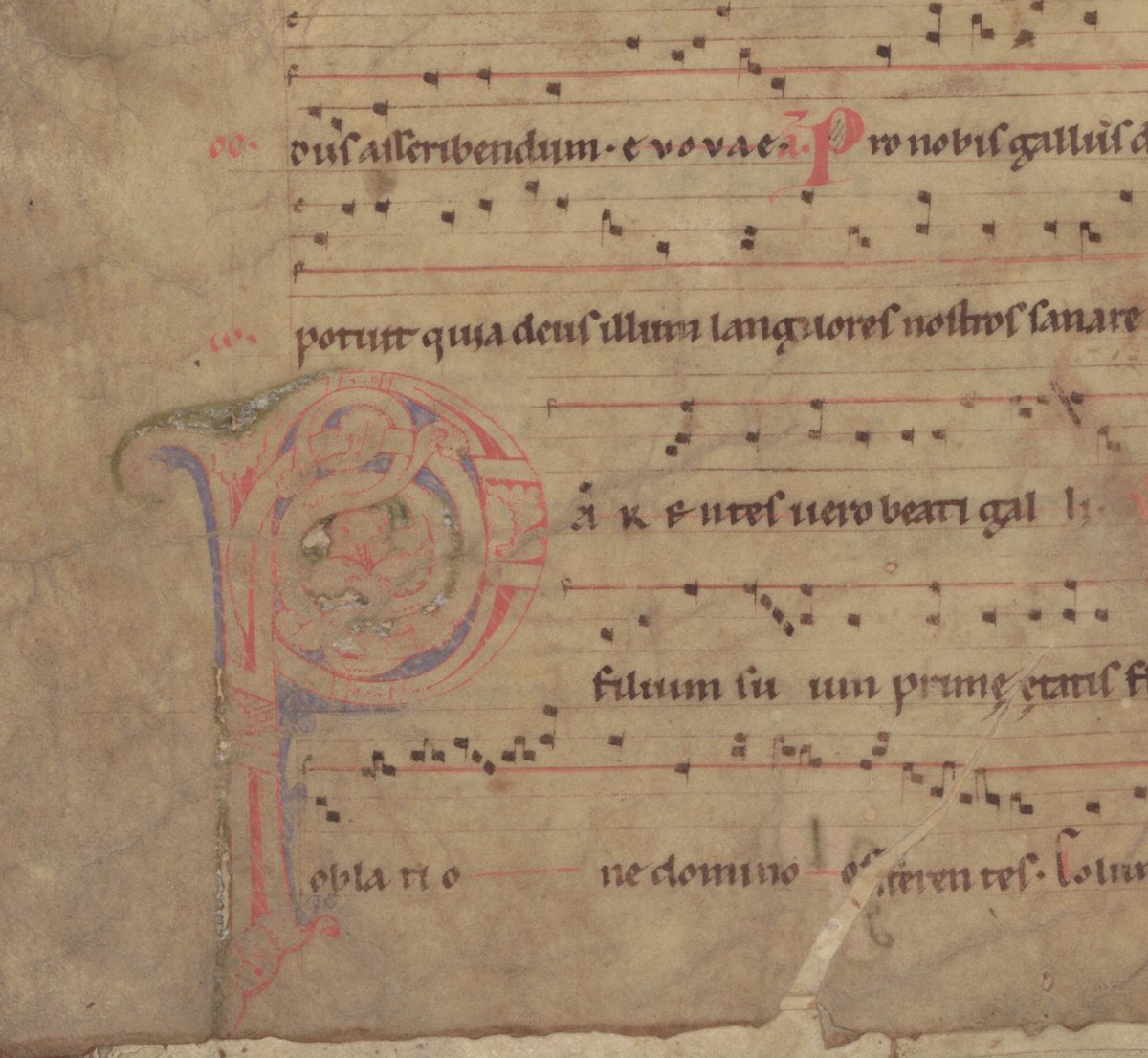 #fragmentfriday working on a presentation about this lil guy fragmentarium.ms/view/page/F-87…