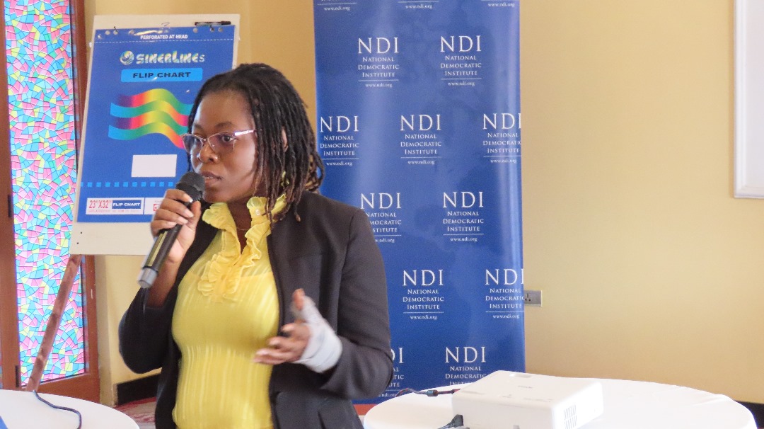 Parliamentary Network Africa tweet media