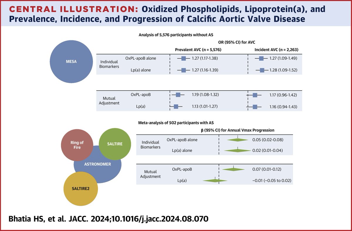 JACC Journals (@jaccjournals) on Twitter photo #AHA24: How does OxPL-apoB affect the risk of calcific aortic valve disease? Using data from MESA, Drs. <a href="/hsbhatia/">Harpreet Bhatia</a>, <a href="/Lpa_Doc/">Sam Tsimikas, MD</a> & team show that ⬆️ OxPL-apoB is associated with increased incidence and progression of valve disease bit.ly/3YRMeDf #JACC #AHA24: How does OxPL-apoB affect the risk of calcific aortic valve disease? Using data from MESA, Drs. <a href="/hsbhatia/">Harpreet Bhatia</a>, <a href="/Lpa_Doc/">Sam Tsimikas, MD</a> & team show that ⬆️ OxPL-apoB is associated with increased incidence and progression of valve disease bit.ly/3YRMeDf #JACC