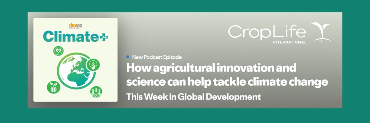 Diving into all things #COP29? Check out the <a href="/devex/">Devex</a> Climate+ podcast! <a href="/CropLifeIntl/">CropLife International</a>’s <a href="/emilyrees_eu/">Emily Rees</a> &amp; Laurie Goodwin discuss how agricultural innovation &amp; science can be key drivers in tackling climate change &amp; building resilience in our food systems.
 
🎙 lnkd.in/e2Ws_wbG