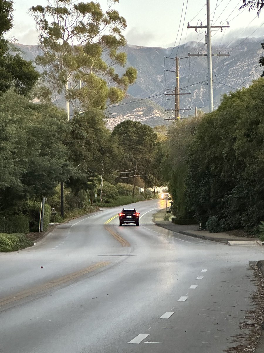 T.C. Boyle tweet media