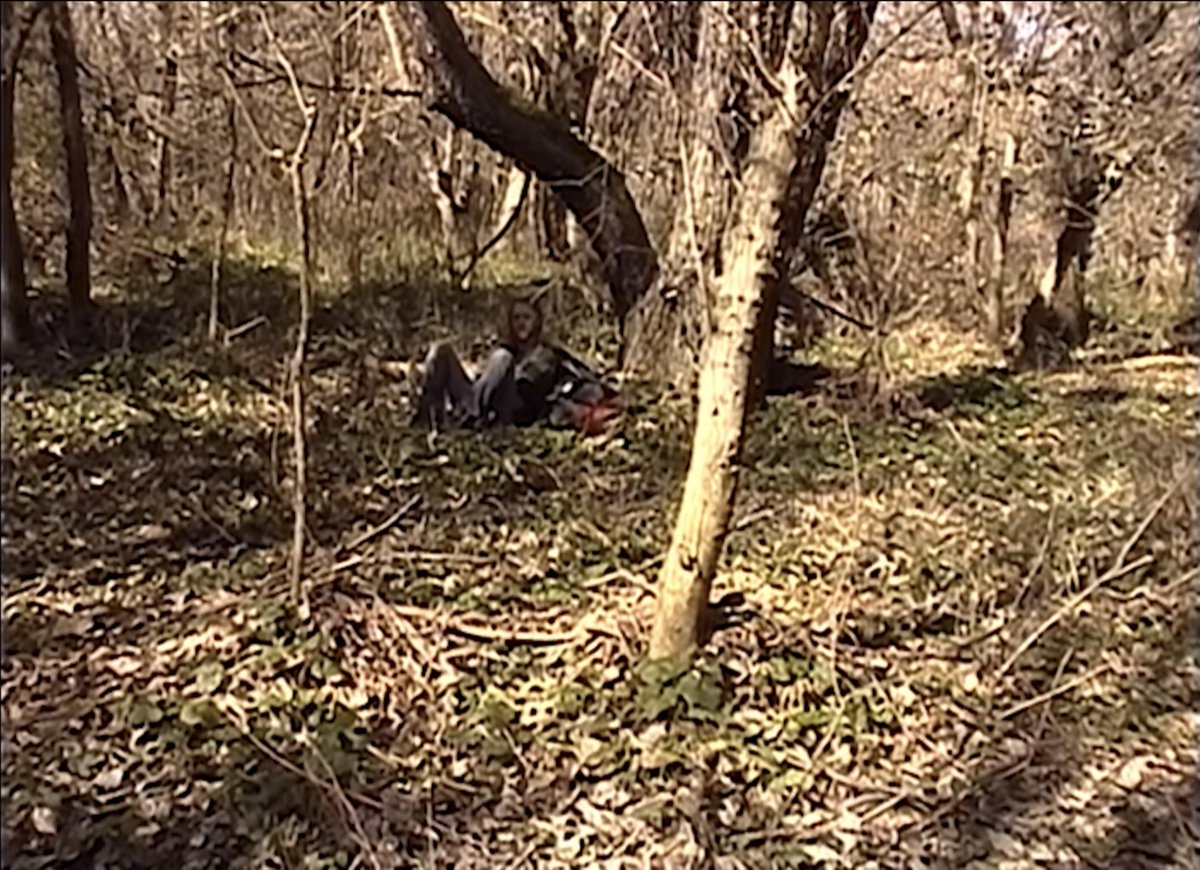 RobbieBanfitch's tweet image. Dear Lionsgate,

Can we get the true version of “The Blair Witch Project” released stateside?