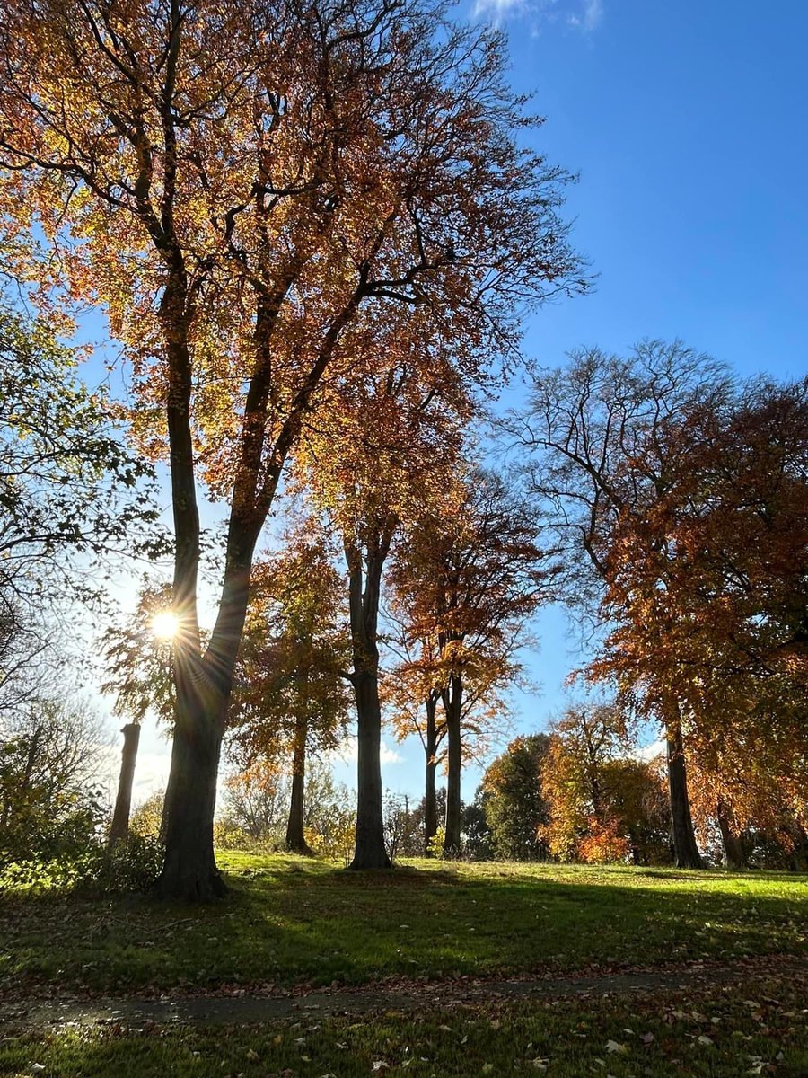 Derby Parks (@derby_parks) / Posts / X