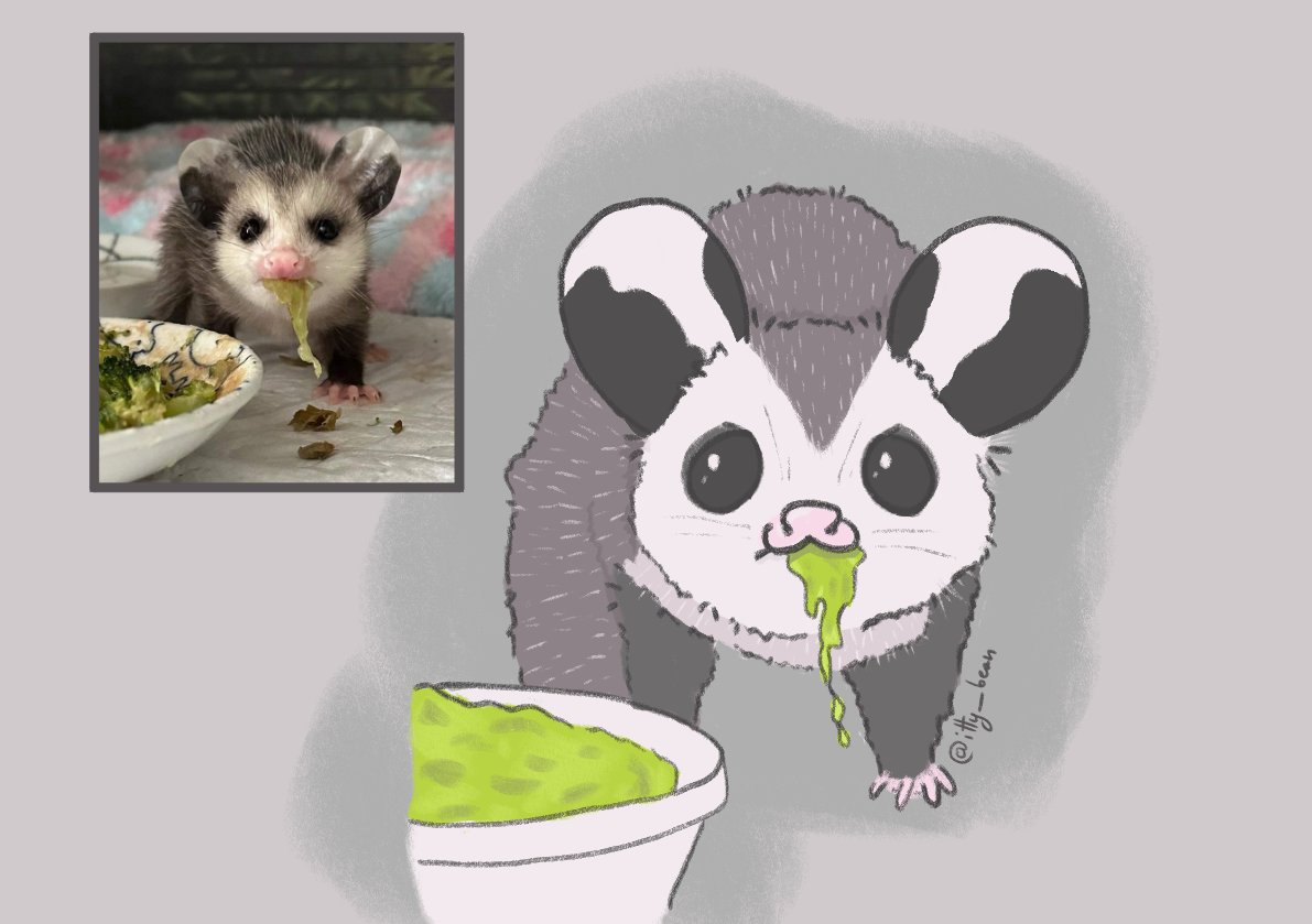 smol bean tweet media